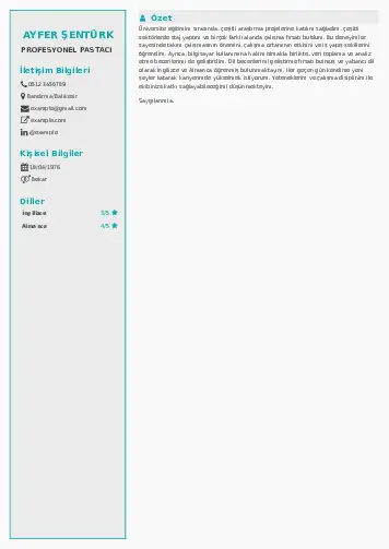 Pastacı Cv Örnekleri cv indir